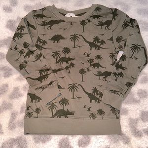 Green Dinosaur Sweatshirt